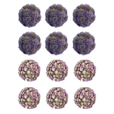 Sedum décoratif