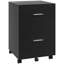 Lowensky 15.6'' Wide 2 -Drawer Mobile File Cabinet-1699062603
