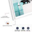 «Edge Feline Sail I Shadowbox» par Notoriart-116877385-116877392