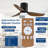 Andricka 40'' Ceiling Fan with LED Lights