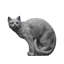 Cat Garden Statue-24479829