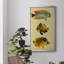 Trio de poissons tropicaux II - peinture sur toile encadrée-1891002659-1891002657