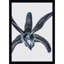 Orchid by Shot by Clint Wood Framed Wall Art Print-154931686-154931708