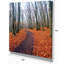 « chemin de la forêt d’automne » paysages, reproduction de photo sur toile tendue-29502907
