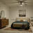 Starkk 52'' Ceiling Fan with LED Lights-424679388