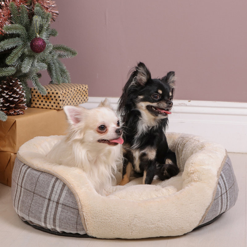 Kurtz Polyester Pet Bed, Medium