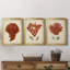 Antique Red Coral I - ensemble de 3 impressions sur toile encadrées-197865920-197865923