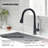 OAKLAND Single Handle Pull Down Kitchen Faucet-101054511