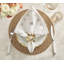 Gold Rush Placemat