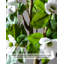 Imitation Magnolia moderne et minimaliste - article de décoration d'intérieur-131379076
