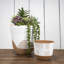 Pot de fleurs terre cuite Smethwick