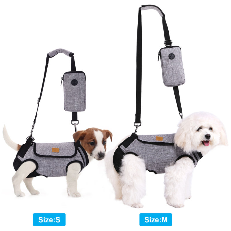 Harnais pour chien