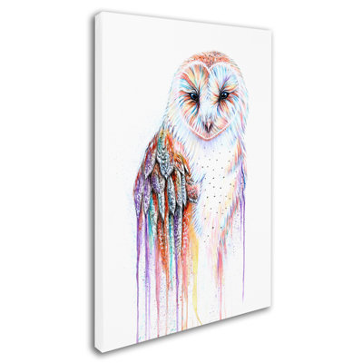 « barred arc-en-ciel hibou », reproduction d’impression sur toile tendue