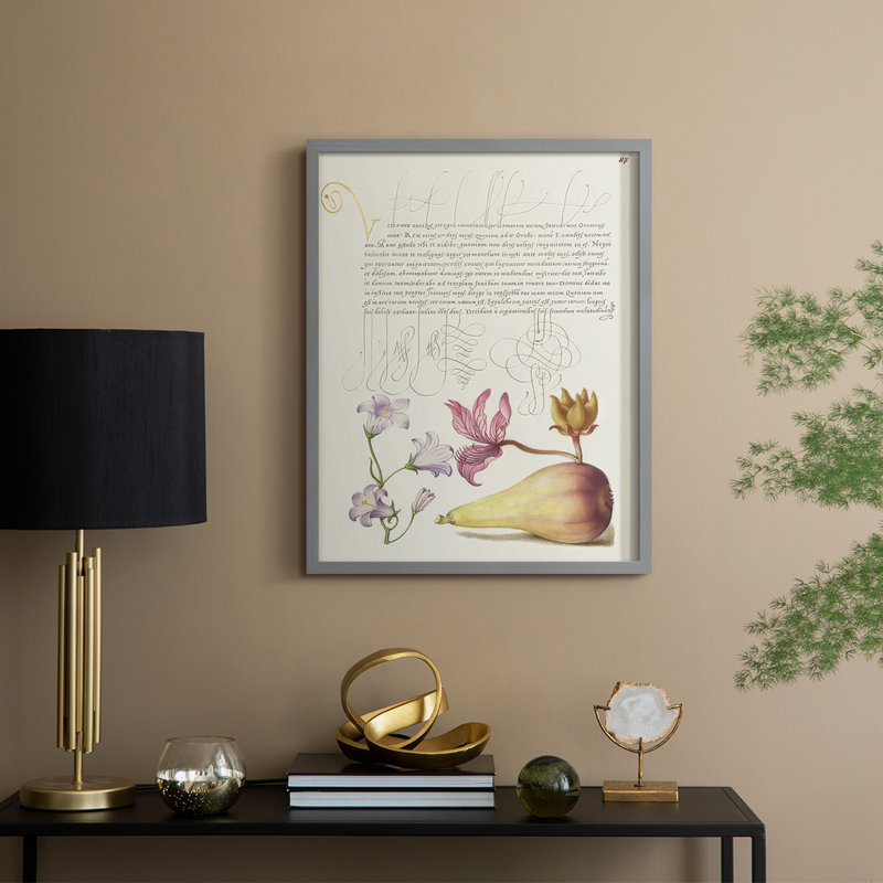 Reproduction encadrée de Hoefnagel, spéculations tropicales - bois massif, Gris, H 30 po x l 24 po