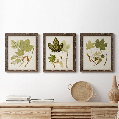 Feuilles antiques IV - ensemble de 3 peintures sur toile encadrées