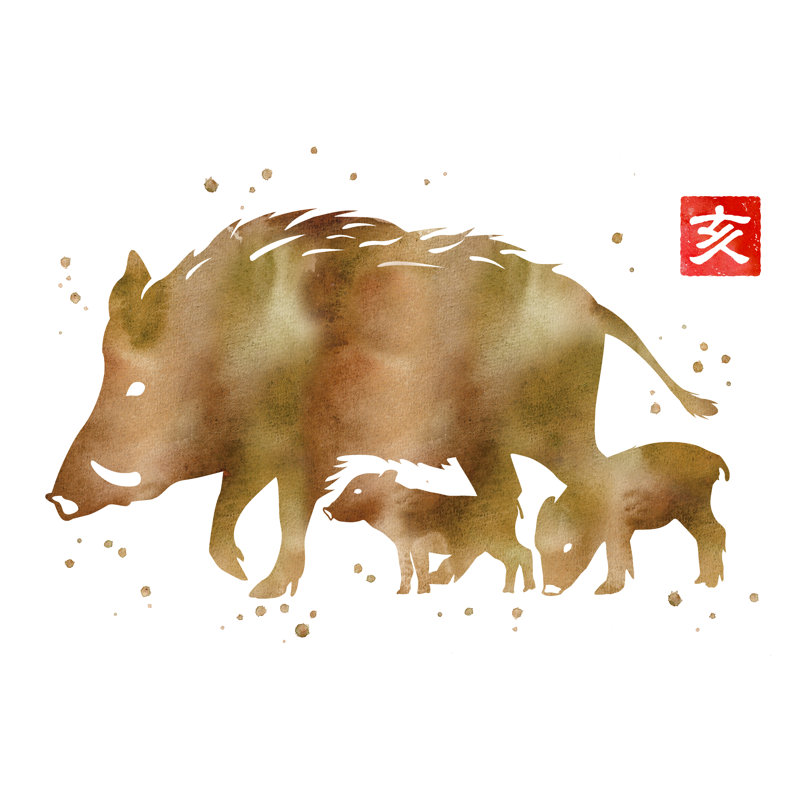 Wild Boar by Kei_gokei - Wrapped Canvas Print, 81cm H x 122cm W x 3.8cm D