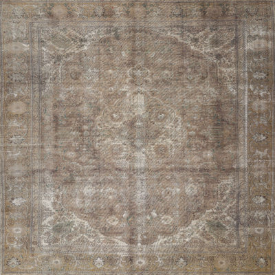 Wool Oriental Indoor Rug