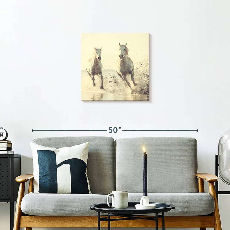 Brampt, chevaux français blancs