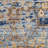 Goncalo Oriental Indoor Rug-1448720850
