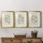 Soft Shape I - Ensemble de 3 cadres photo-723776182-723776177