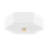 Lizzie 2 Light Flush Mount