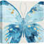Bleu papillon-102480443-102480441