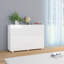 Sideboard High Gloss 107x35x80.5 cm-177708993
