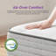  Matelas hybride ferme 10 "/ 12" / 14 "- Wayfair-20292870-131997961