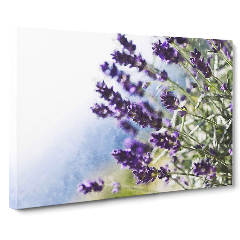 Lavender Vol.2 - Wrapped Canvas Print, 50cm H x 76cm W x 3cm D