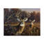 «Berrien Deer», impression sur toile tendue-27648554