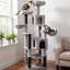 Arbre à chat-282400737
