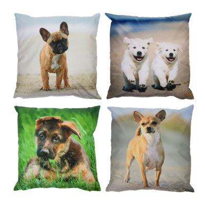 Animal Print Reversible Throw Pillow