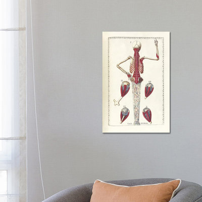 " The Science Of Human Anatomy IV " by National Library Of Medicine