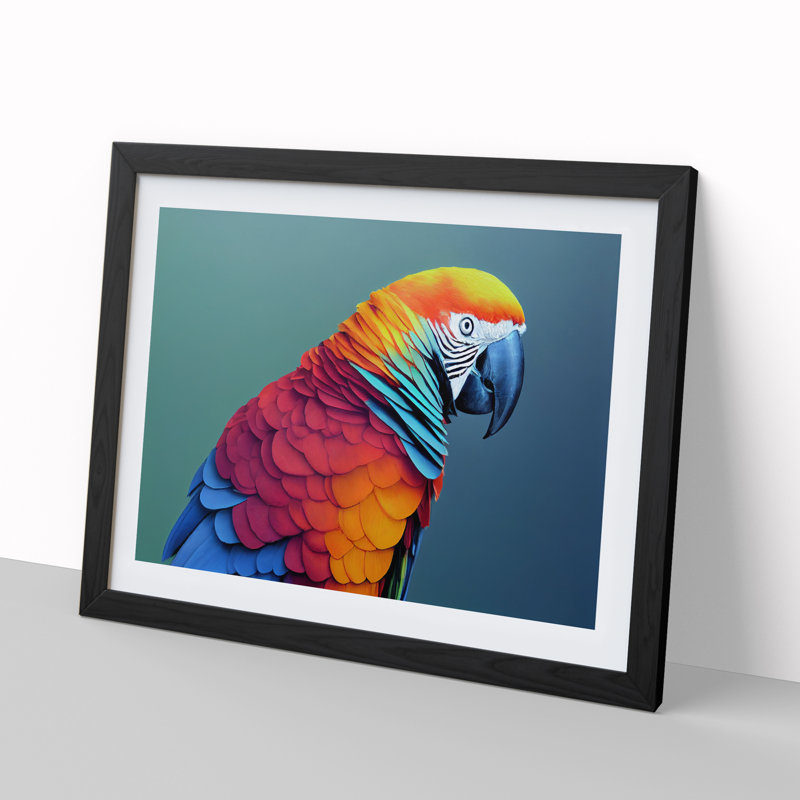 Colourful Parrot Portrait Vol.6 - Single Picture Frame Painting, 46cm H x 64cm W x 2cm D, Black Framed