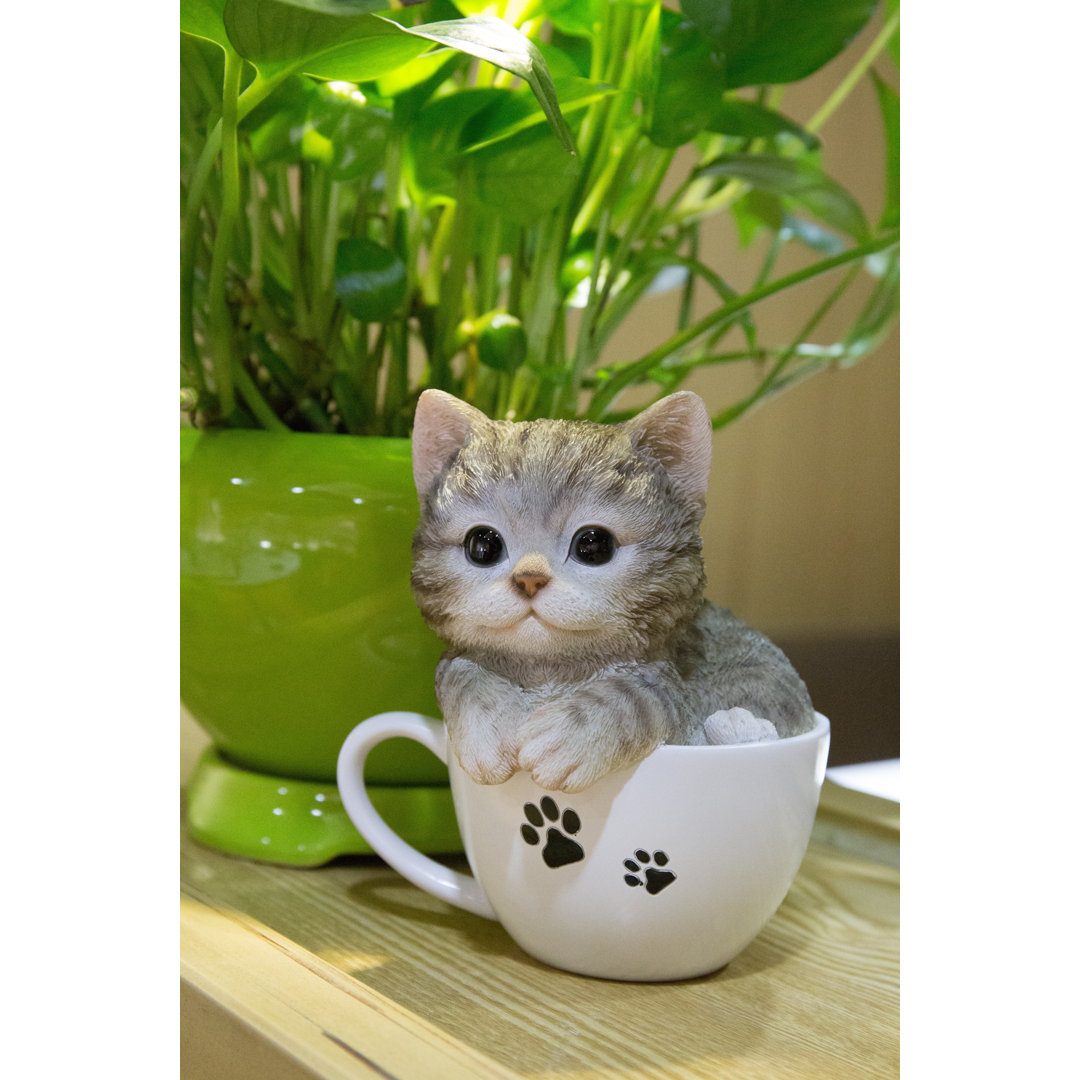 Teacup Kitten Tabby Statue Hi-Line Gift Ltd.