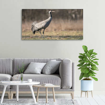 Heron - No Frame Print on Canvas