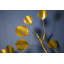 Tige de eucalyptus en métal gilded