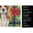 Blenheim Cavalier Spaniel Christmas PoinsettIas Kitchen Towel-2080584039