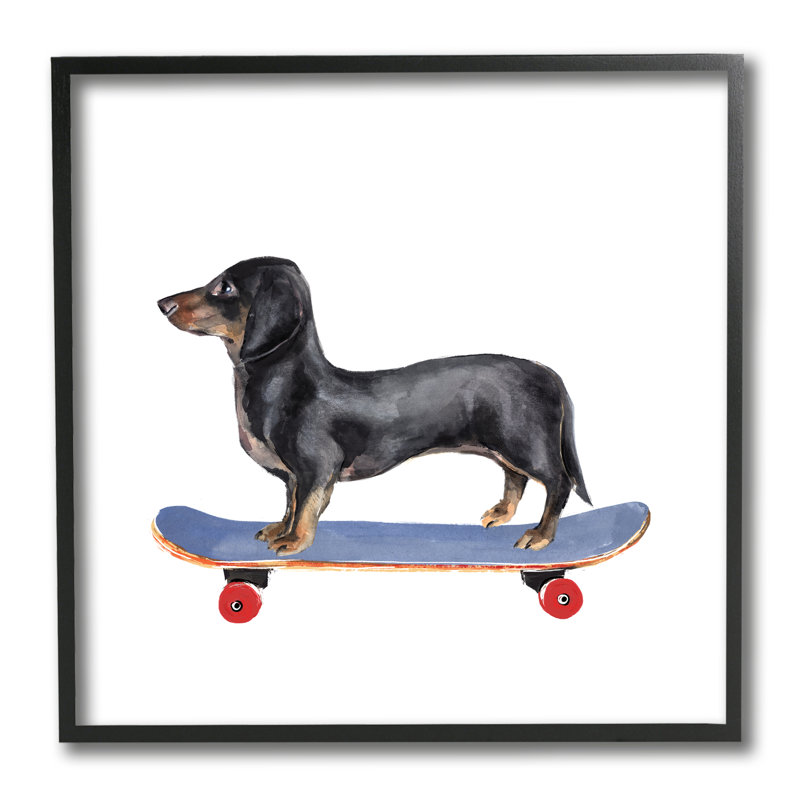 Chien teckel sur planche à roulettes bleue, Giclée encadrée noir minuit, H 12 po x l 12 po x P 1,5 po