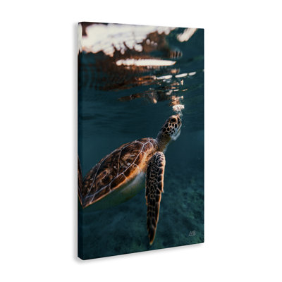 «Blowing Bubbles Turtle» par Max Blakesberg Studios