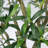 72'' Faux Olive Tree Tree in Fiberglass Planter