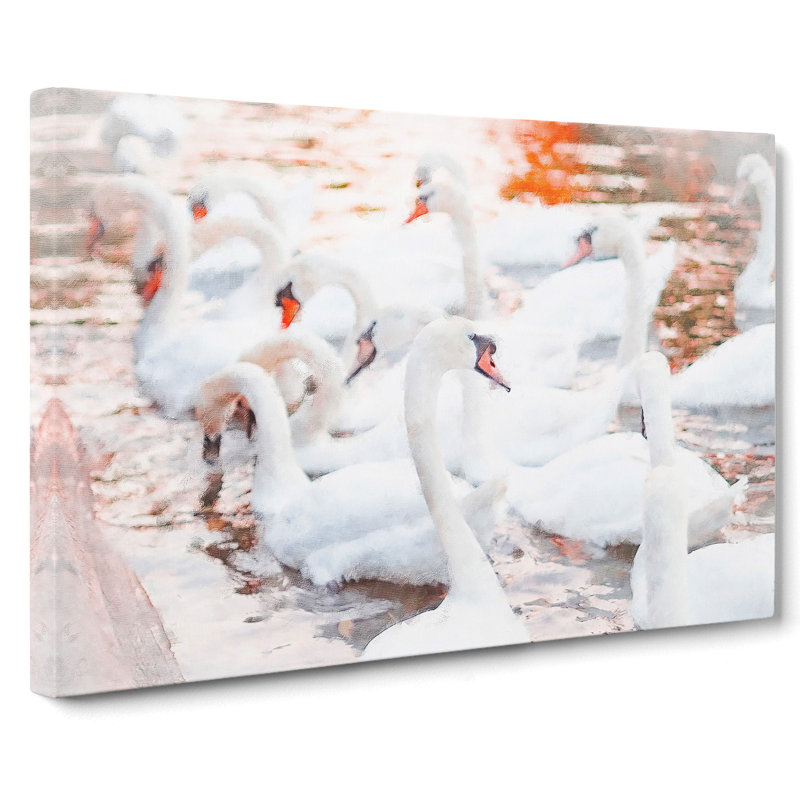 White Swans - Wrapped Canvas, 50cm H x 76cm W x 3cm D