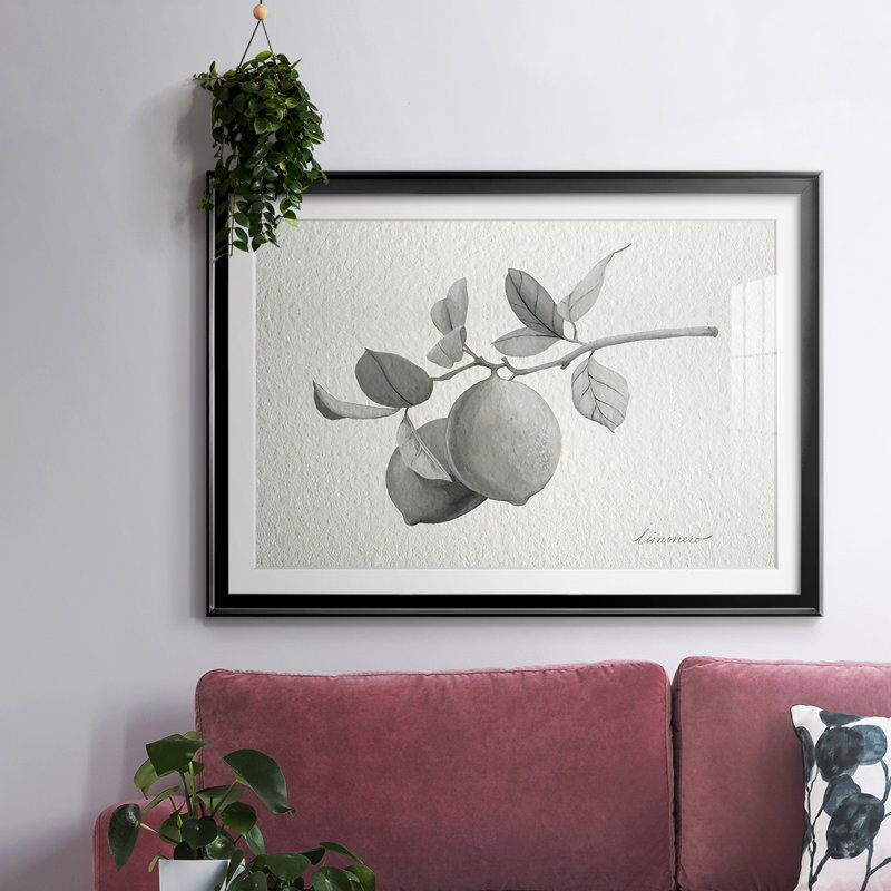 Limonero I, reproduction d'art encadrée, H 15 po x l 21 po x P 1,5 po, Noir