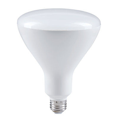 17 W BR40 E26/Medium (Standard) LED Smart Bulb