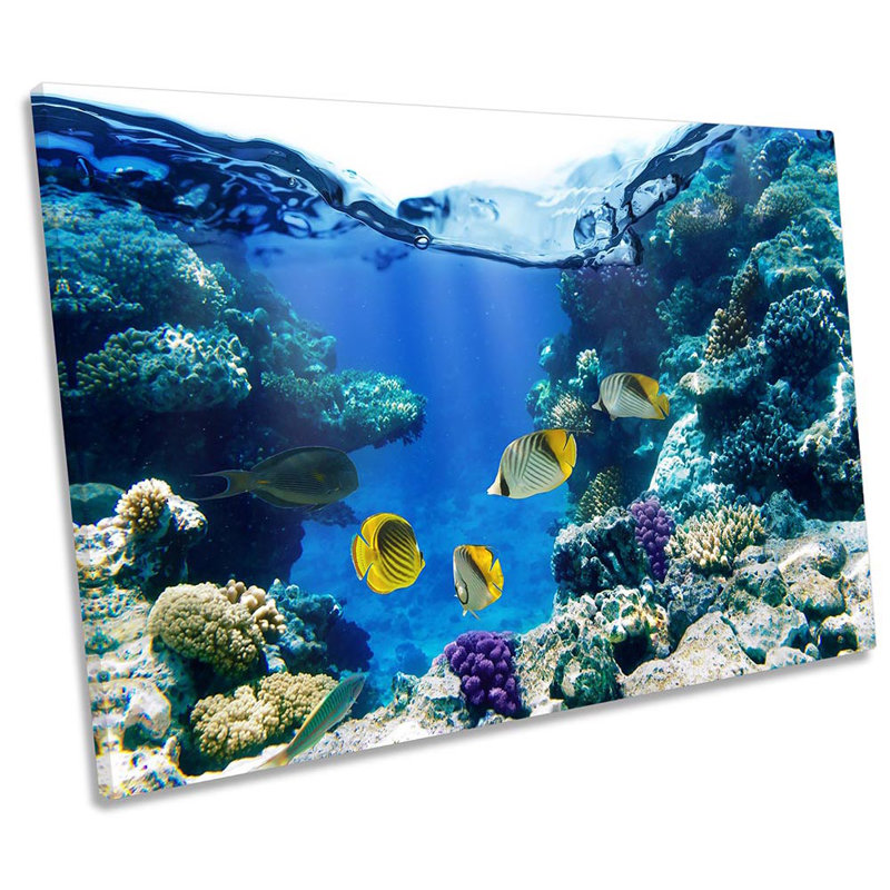 Marine Fish Underwater - Wrapped Canvas Print, 40.6cm  H x 61cm  W
