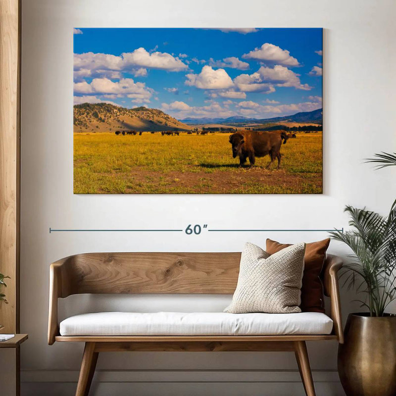 Bison dans le parc national, H 34 po x l 51 po