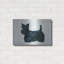 «Scottish Terrier» par Harro Maass-1992763735