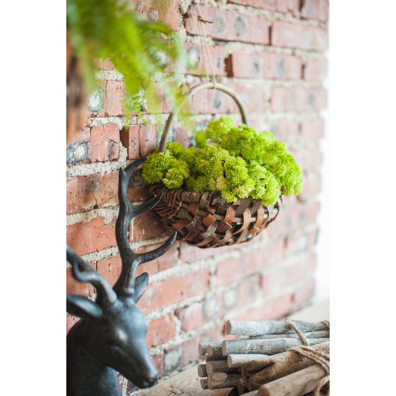 13'' Faux Cauliflower Succulent, Green