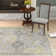 Areli Oriental Indoor Rug