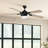 60'' Ceiling Fan with LED Lights-361292367